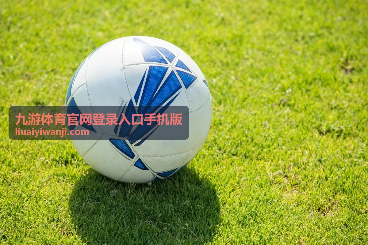 账号密码填写与重试示意